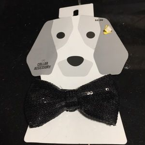 bow tie for a dog